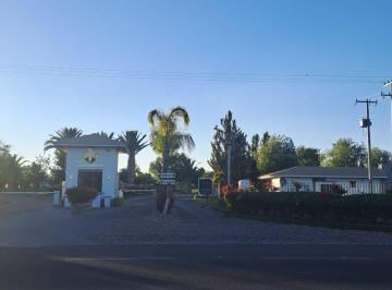 Terreno / Lote , Aguascalientes · Terreno en Venta en Edén Los Sabinos.