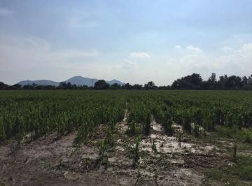 Terreno / Lote , Tlajomulco de Zúñiga · Terreno en Venta en Concepción del Valle Tlajomulco "La Concha"