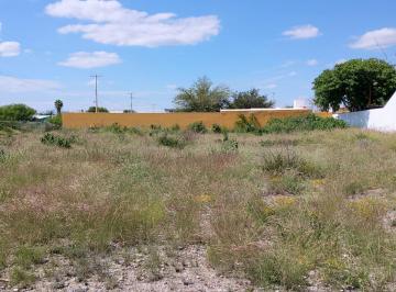 Terreno / Lote · 1615m² · Terreno en Fraccionamiento Mirador, Ciénega de Flores - (4)
