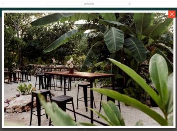 Terreno / Lote , Puerto Morelos · Terreno en Venta Xul - Ha Eco Habitat