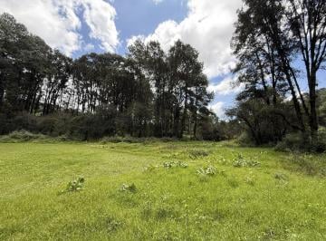 Terreno / Lote · 23594m² · Terreno Ideal Para Desarrollo o Cabañas