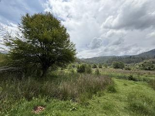 Terreno / Lote · 86000m² · Terreno con Hermosa Vista en El Centro de Amanalco