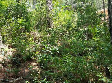 Terreno / Lote · 700m² · Terreno en Venta en Corral de Piedra
