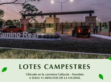 Terreno / Lote · 1005m² · Terreno en Navolato