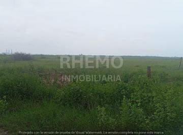 Terreno / Lote · 10000m² · Terreno en Venta 1 Hectárea, Petrolera, Tuxpan, Ver.