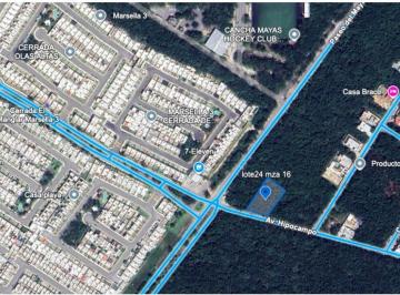 Terreno / Lote · 1615m² · Venta Lote 1,615 m² Mixto Sobre Av Hipocampos