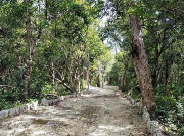 Terreno / Lote · 10000m² · Terreno 1 Hectarea en Chemuyil