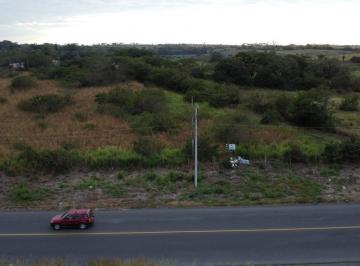 Terreno / Lote · 20000m² · Terreno en Venta a La Orilla de La Carretera Paso del Toro