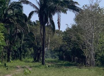 Terreno / Lote · 195m² · Terreno - Boca del Río