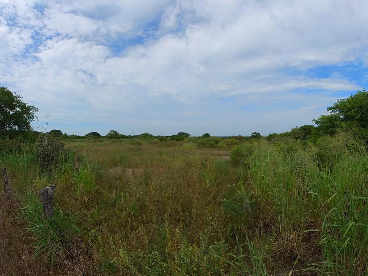Terreno en Venta en Manlio Fabio Altamirano