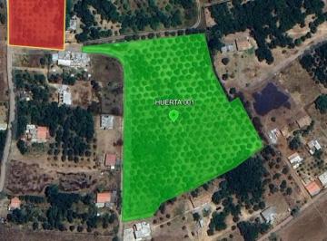 Terreno / Lote · 18000m² · Huerta 001: Teneria, Tejupilco
