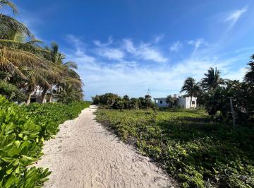 Terreno / Lote · 800m² · Terreno Frente Al Mar en Las Paradisíacas Playas de El Cuyo, Yucatán
