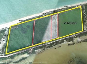 Terreno / Lote · 40000m² · Terreno Frente Al Mar en Sisal, Ideal Para Desarrollar
