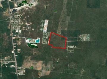 Terreno / Lote · 100000m² · Terrenoa