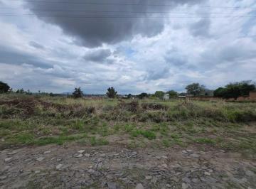46afd13dc9d89c37bbced5cf5d02b0889ffe584721fd1544f28cef92e22a457b · Terreno en Venta en Campestre Las Palomas