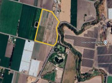 Terreno / Lote , Irapuato · Terreno Agrícola en Venta en Rancho Grande.
