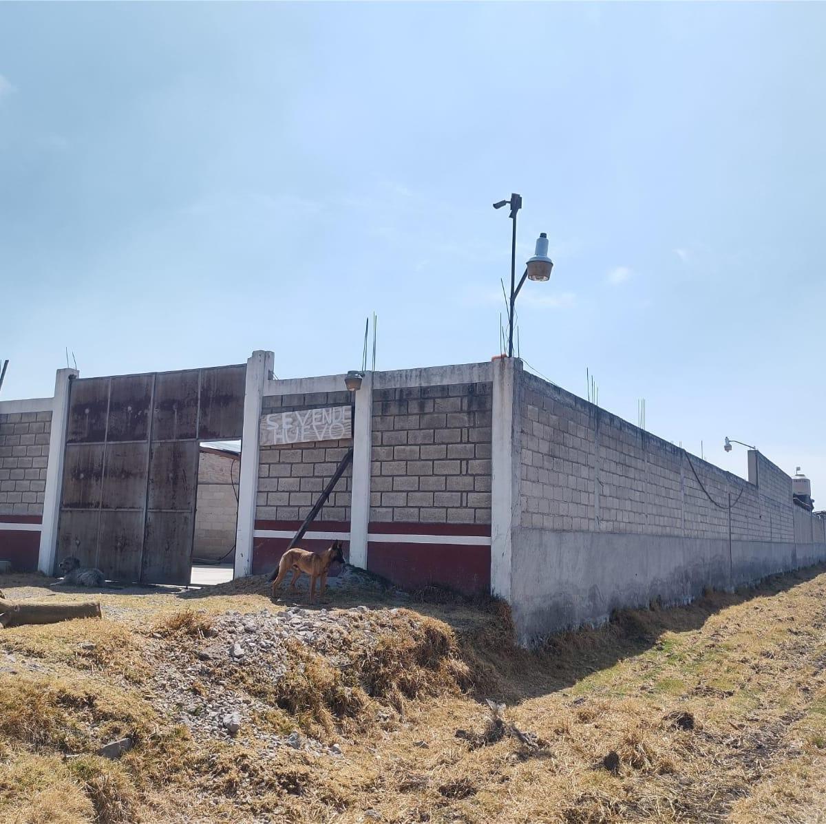 Ranch for Sale