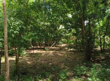 Terreno / Lote , Izamal · Terreno en Venta, 536 m², Ciudad Izamal