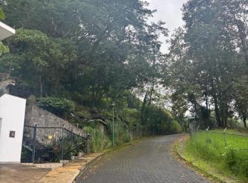 Terreno / Lote · 800m² · Terreno - Coatepec