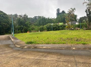 Terreno / Lote · 290m² · Terreno - Coatepec
