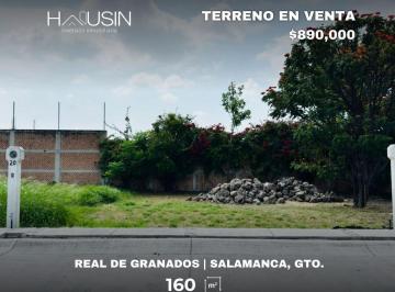 Terreno / Lote · 160m² · Terreno en Venta, Real de Granados, Col. Lazaro Cardenas. Salamanca, Gto.