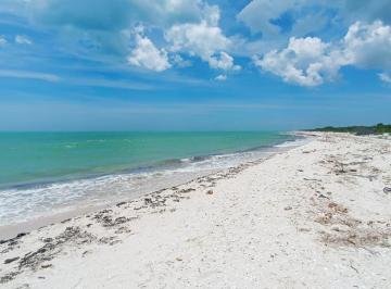 Terreno / Lote , Celestún · Terreno en La Playa en Celestun Yucatan a 20 m del Mar