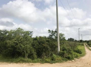 Terreno / Lote · 2888m² · Venta de Terreno en Cholul Mérida Yucatán