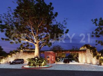 Terreno / Lote · 350m² · Terreno en Venta en Progreso de Castro, Yucatán