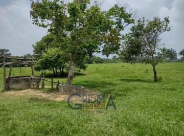 Rancho · 40000m² · Rancho en Venta en Carretera Cobos - Cazones