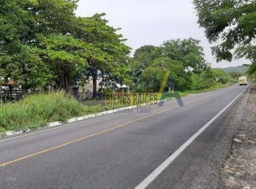 Huerta · 600000m² · Rancho en Venta en Temapache Sobre Carretera a Tampico