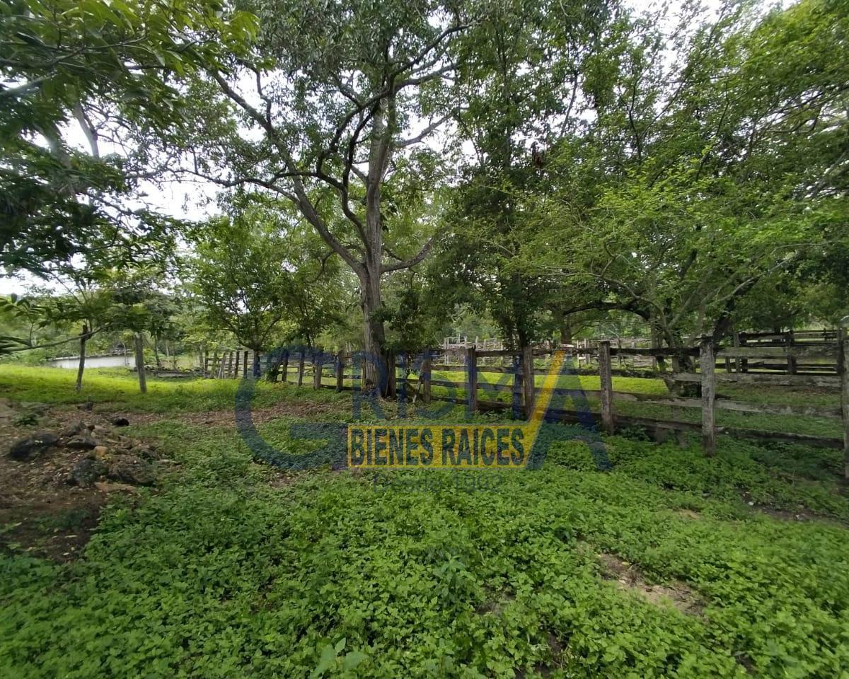 Luxury Ranch for Sale in Chalahuite, 39 Minutes from Tuxpan