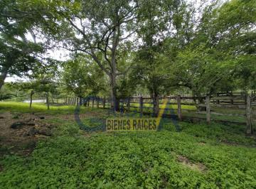 Rancho · 1012600m² · Rancho de Lujo en Venta en Chalahuite a 39 Minutos de Tuxpan