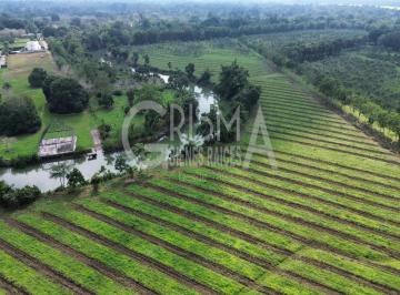 Terreno / Lote · 2500m² · Increíbles Terrenos en Venta Frente Al Estero en Juana Moza, Tuxpan Ver.