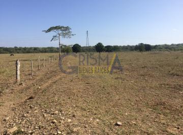 Rancho · 209000m² · Rancho en Venta en Tuxpan, Ojite