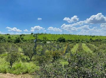 Rancho · 600000m² · Precioso Rancho Agrícola en Carretera a Tepetzintla