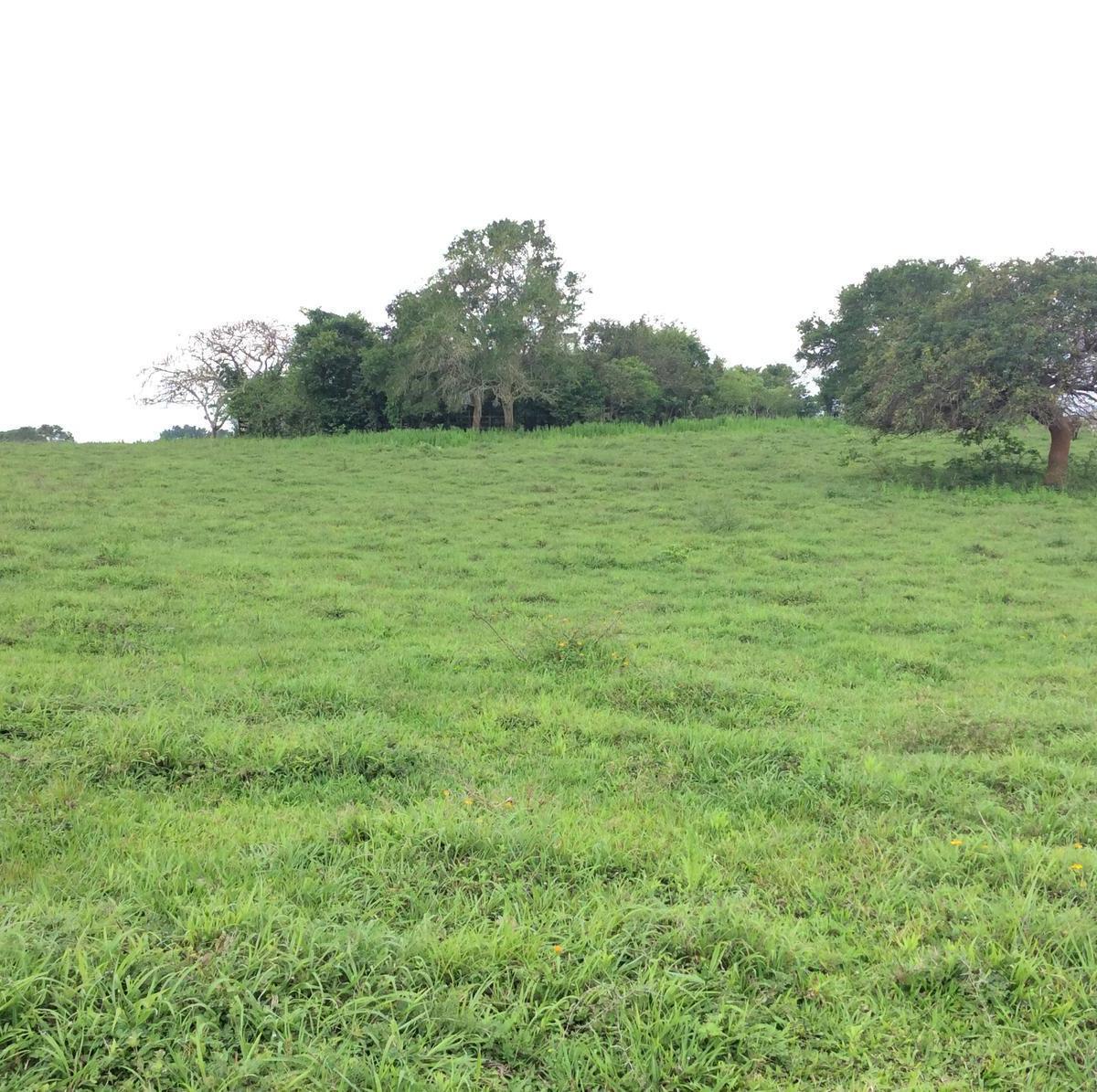 Rancho en Venta en Tamiahua, Veracruz