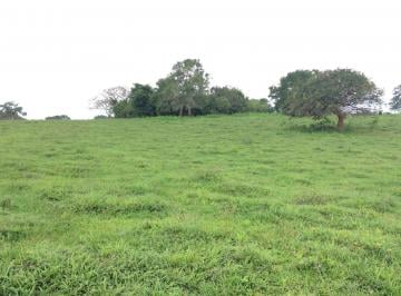 Rancho · 340000m² · Rancho en Venta en Tamiahua, Veracruz