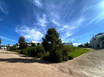 Terreno / Lote · 479m² - Hugo El Broker · Terreno en Venta Ubicado en Baja Malibú