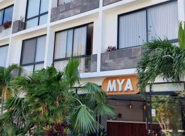 Departamento · 36m² · 1 Recámara · 1 Estacionamiento · Departamento Tipo Estudio en Aldea Zama Tulum