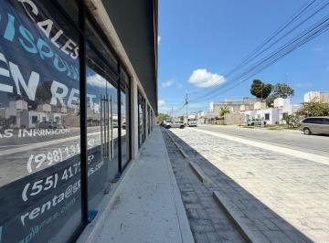 Local en centro comercial , Puerto Morelos · Locales Comerciales en Renta en Quintana Roo, Puerto Morelos, Av Timón.