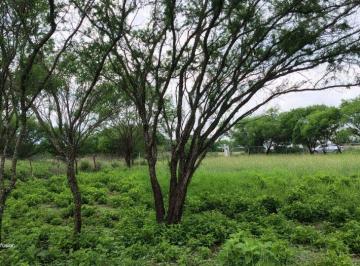 Terreno / Lote , Montemorelos · Terreno en Venta - La Purísima, Montemorelos N. L.