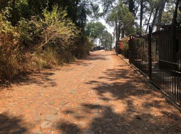 Terreno / Lote · 1146m² · Terreno - del Bosque