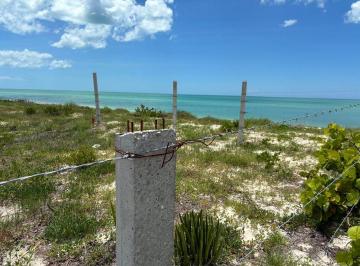Terreno / Lote , Celestún · Terreno en Venta Frente Al Mar en Celestún, Yucatán