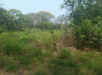 Terreno / Lote · 18000m² · Terreno en Venta - (4)
