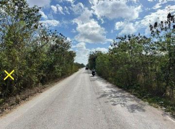 Terreno / Lote en Venta   · Terreno Zona en Crecimiento