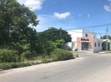 Terreno / Lote · 1200m² · Terrenos en Renta en Cozumel, Calle 2 Norte con 75 Av