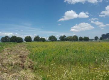 Terreno / Lote , Metepec · Terreno en Renta Metepec San Miguel Totocuitlapilco
