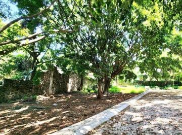 Terreno / Lote · 242m² · Terreno en Fraccionamiento Lomas de Cortes