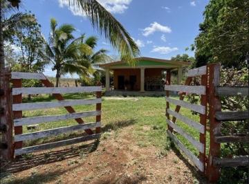 Terreno / Lote · 450000ha · Venta de Terreno Rancho en Suma Yucatan