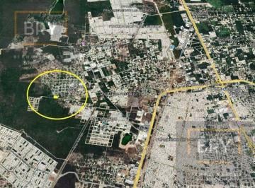 Terreno / Lote · Venta de Terreno en Dzitya de 7,444 m² Sobre Calle Principal con Servicios